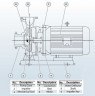BGWH 40-200A (5,9/44), 3kW, 2880 - pompa ze stali nierdzewnej pozioma