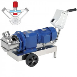 Pompa wirnikowa LIVERANI RID MINOR 40+BY-PASS NR TF 1,5kW, 700obr./min, 380V z przekładnią, na wózku ze standardowym panelem sterowania