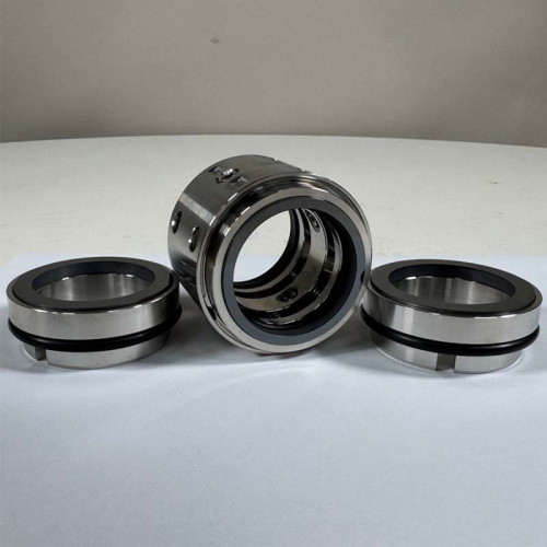 Podwójne uszczelnienie pompy mechanicznej R-802 60, SIC/SIC/SIC/CAR, EPDM, 304