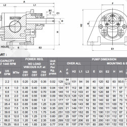 Pompa zębata JKSS 200 2 cal, 12 m3/h, AISI 316 do przenoszenia farb
