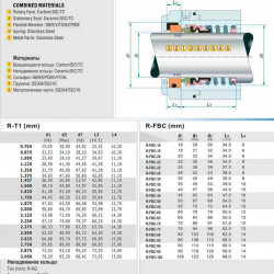 Uszczelnienie pompy R-T1 2.1/8, SIC/SIC, VITON, 304