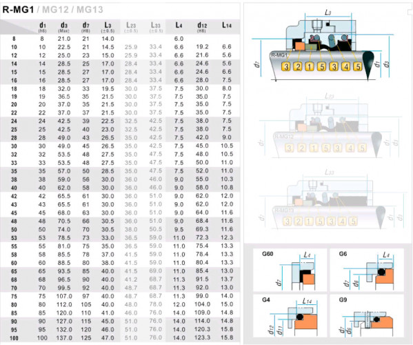 Uszczelnienie mechaniczne wału pompy R-MG1 20, SIC/SIC, VITON, 304, G4
