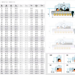 Uszczelnienie mechaniczne wału pompy R-MG1 20, SIC/SIC, VITON, 304, G4