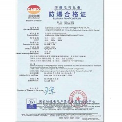 Silnik pneumatyczny z zabezpieczeniem przeciwwybuchowym 375W do pompy beczkowej