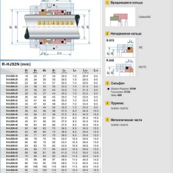 Uszczelnienie pompy R-HJ92N 58, CAR/SIC, VITON, 304, G16