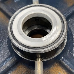 BGLH 50-250A, 55, (11,6 / 70), 7,5 kW, 2880 pompa ze stali nierdzewnej in-line z tandemowym uszczelnieniem mechanicznym do dżemu, paszczy, syropów