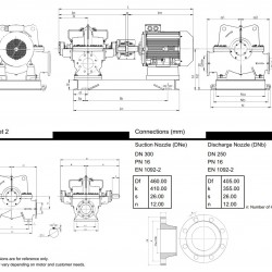 BSCE 250-450 (1500) - zespół pompowy z wejściem dwustronnym, 250 kW