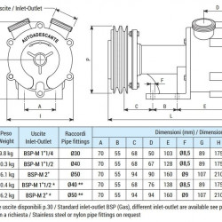 Pompa wirowa do pompowania soków owocowych LIVERANI SPECIAL SENIOR 1 1/2 FM 12V, 120 l/min, AISI 316, bez silnika