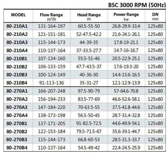 BSC 80-210A/B, (3000) pompa z podwójnym wejściem