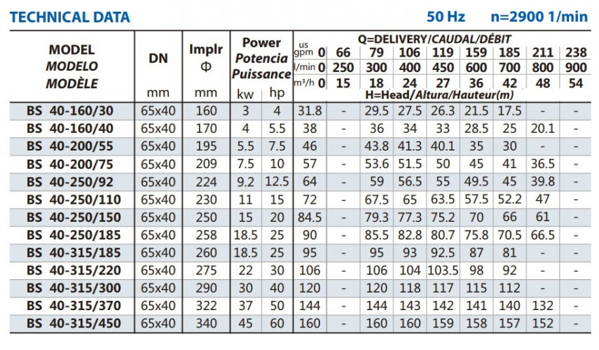 Pompa wspornikowa BS 40-315/220, AISI 304, 2900, bez silnika