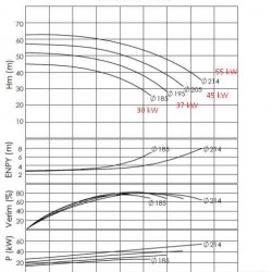 Pompy wirowe wysokotemperaturowe BTKF-K 100-200 (3000) bez silnika