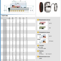 Uszczelnienie pompy R-BT-RN 38, SIC/SIC, VITON, 304, T8RN