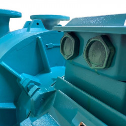 Pompa próżniowa 2BV5161