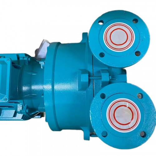 Pompa próżniowa 2BV5161