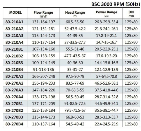 BSC 80 370A/B, (3000) pompa z podwójnym wejściem
