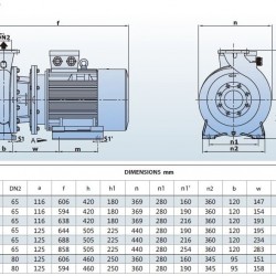 Pompa monoblokowa do systemów grzewczych BST4 65-315/4, 1500