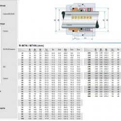Uszczelnienie pompy R-M74N 170, SIC/SIC, VITON, 304, G9