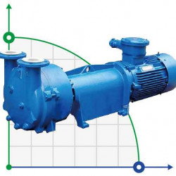 Pompa próżniowa 2BV6111
