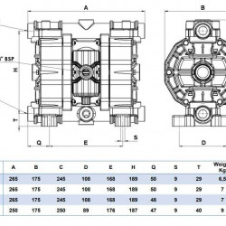 Pneumatyczna pompa membranowa PHOENIX 65-PP 1/2, P65-PHTTPT