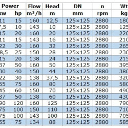 BGW 125-315C (134/88), 55kW, 2880 odśrodkowa pompa pozioma