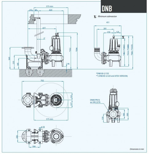 Pompa głębinowa Dreno DNB 80-2/220 T z dwukanałowym wirnikiem typu S