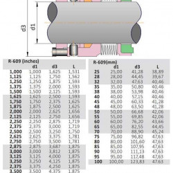Uszczelnienie wysokotemperaturowe do pompy R-609 25, SIC/SIC, GRAFOIL, AM350/316