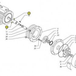 Klucz do pomp Dębem MB VITE61C10012XA2