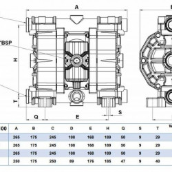 Pneumatyczna pompa membranowa PHOENIX 100-PP 3/4, P100-PHTTPT