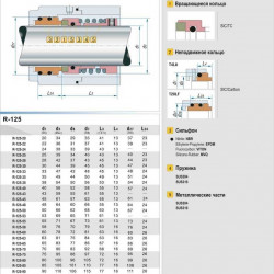 Uszczelnienie mechaniczne wału R-125 53, SIC/SIC, VITON, 316, T20LF