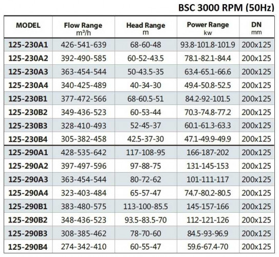 BSC 125-290A/B, (3000) pompa z podwójnym wejściem