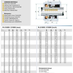 Uszczelnienie pompy R-2100K 35, CAR/CER, VITON, 304