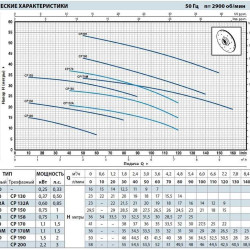 Pompa jest odśrodkowa CP 170-ST6
