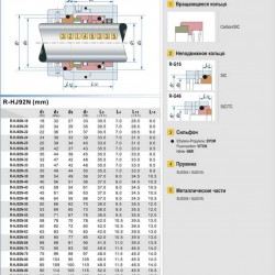 Uszczelnienie pompy R-HJ92N 20, SIC/SIC, VITON, 304, G16