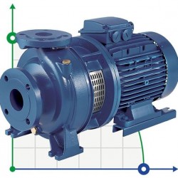 Monoblokowa pompa odśrodkowa 3DS/I 50-125/2,2