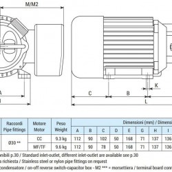 Vortex ink pump LIVERANI EP JUNIOR 1 1/4 +BY-PASS, 58 l/min, TF/I, 0.56 kW, 2800 rpm, 380V, AISI 316, Seal Cer.-Grafite-NBR