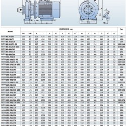 Pompa wodna monoblokowa BST4 125-315/30, 1500