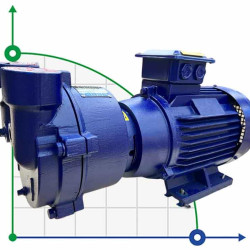 Pompa próżniowa 2BV2071