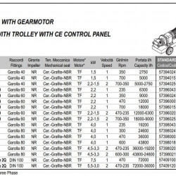 Pompa wirnikowa LIVERANI RID MAJOR 60 NR TF 2,2kW, 235obr./min, 380V z przekładnią, na wózku z panelem sterowania CE