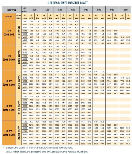 Dmuchawa RUUT BLOWER H 7 (DN 80), 810m3/h