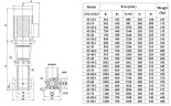 CDLF 65-60-2, AISI 304 pompa wielostopniowa do mycia CIP