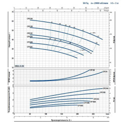 Pompa jest odśrodkowa CP 160B