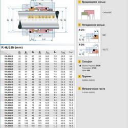 Uszczelnienie pompy R-HJ92N 40, SIC/SIC, VITON, 304, G16