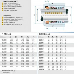 Uszczelnienie mechaniczne wału R-FBC 55, SIC/SIC, VITON, 304, NG