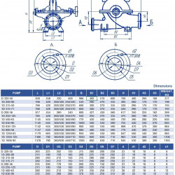 Pompy dwustrumieniowe 1D1250-63, 1000, bez silnika