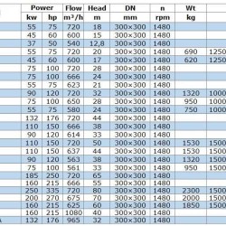 IRG BGL 300-315B (580/24), 55kW, 1480 odśrodkowa pompa pionowa