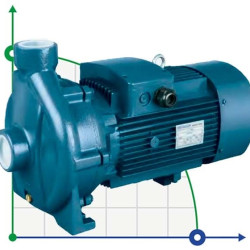 BC 560B (54/26, 6), 5,5 kW, 2880 pompa odśrodkowa z gwintem