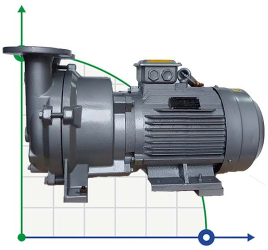 Pompa próżniowa 2BV5111 (AISI 316)