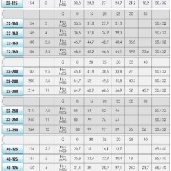 Pompa gorącego oleju EMSE EKY 40-160, 5,5 kW, 2900, bez silnika