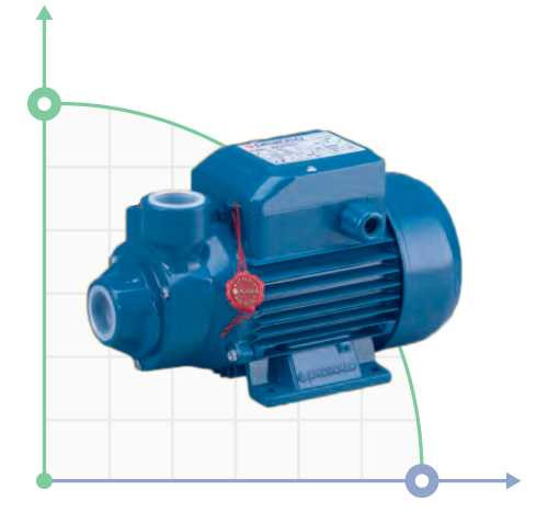 Pompa wirowa Pedrollo PKm 300