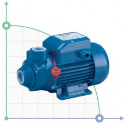 Pompa wirowa Pedrollo PKm 300